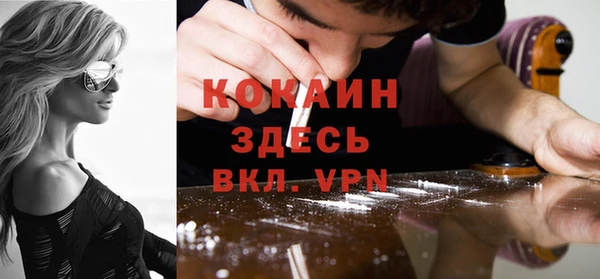 стаф Арсеньев