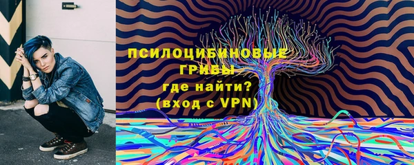 стаф Арсеньев