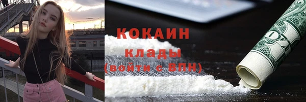 стаф Арсеньев
