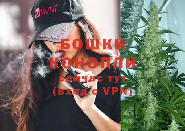 a pvp Аркадак