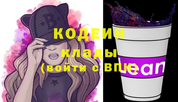 стаф Арсеньев