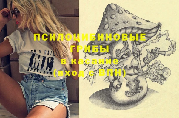 альфа пвп Армянск